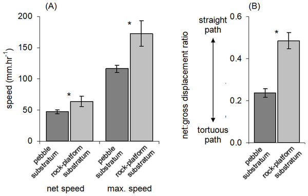 Movement characteristics of Ischnochiton smaragdinus in habitats of differing complexity.