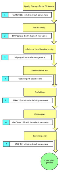 Pipeline of chloroplast genome assembly.