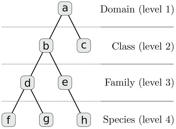 Taxonomy for Table 1 which is simplified to four levels and eight nodes.