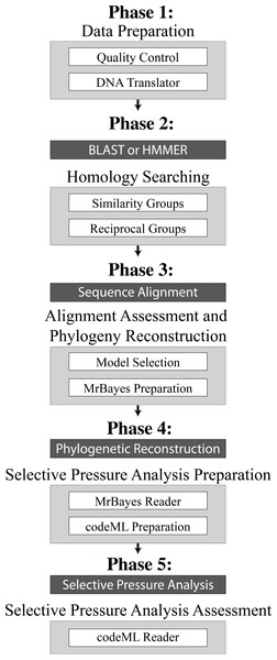 Overview of the 5 Phases implemented in VESPA.