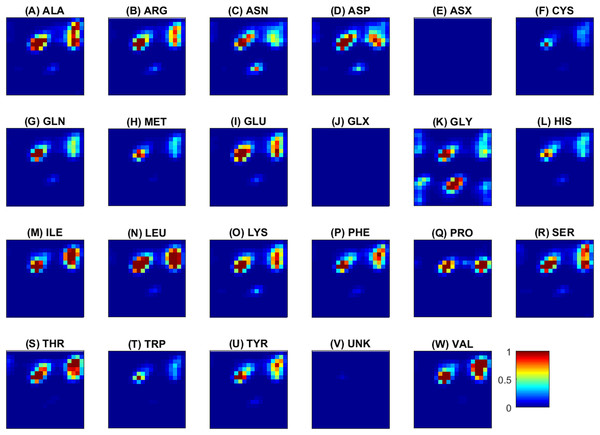 Torsion angles density maps (Ramachandran plots) averaged over all samples for each of the 20 standard and three non-standard (ASX, GLX, UNK) amino acids shown in alphabetical order from (A) to (W).