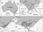 A new small-bodied ornithopod (Dinosauria, Ornithischia) from a deep ...