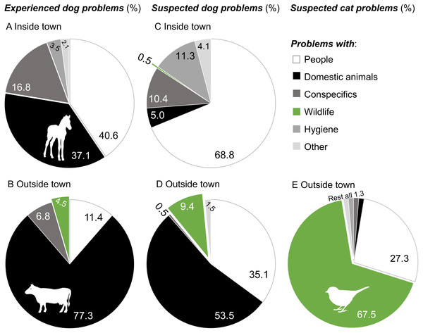 Experienced and suspected problems with dogs and cats in southern Chile.