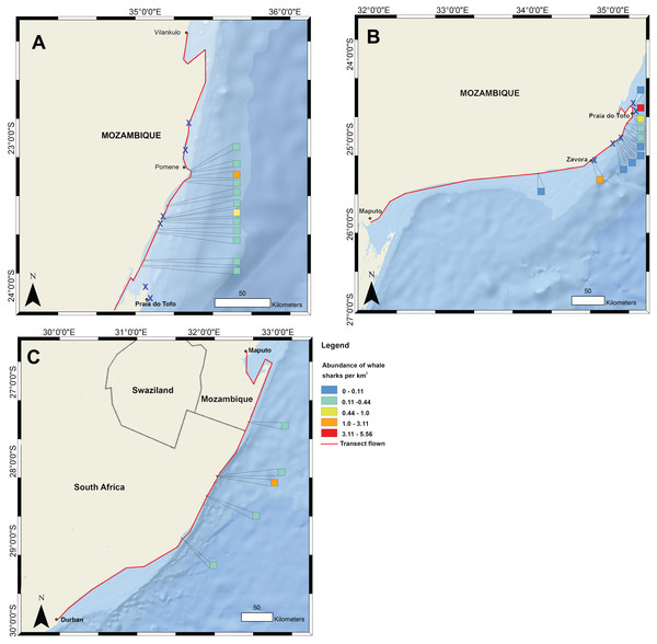 Whale shark and gill net locations from aerial surveys (conducted in 2004–2008 and in 2016, respectively).