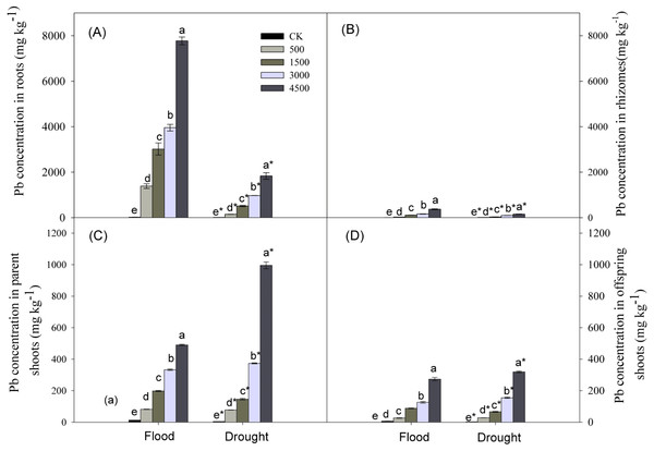 Lead concentrations in different organs of Phragmites australis subjected to Pb contamination in flood and drought conditions.