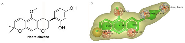 (A) The structure of neorauflavane. (B) The shape-based screening model for the identification of new tyrosinase inhibitors.