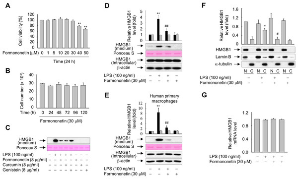 Effects of formononetin on the LPS-induced release and translocation of HMGB1.