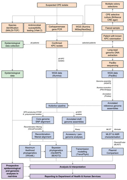 Workflow summary diagram of methods used in this study.