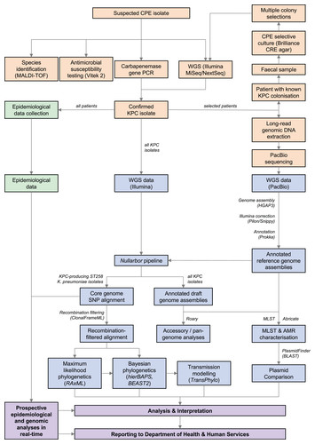 Translating genomics into practice for real-time surveillance and ...