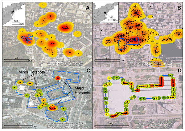 Two examples of urban areas in the United States where extensive bird-window collision survey data reported to iNaturalist allow for the identification of hotspots via kernel density.