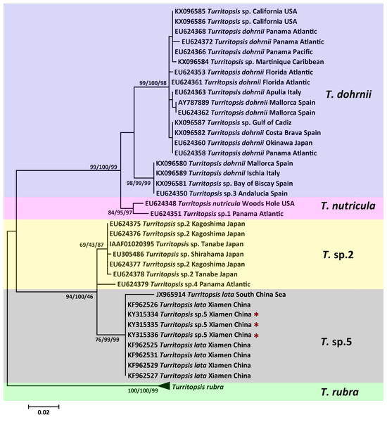 Phylogenetic analysis based on 16S rDNA partial sequences.