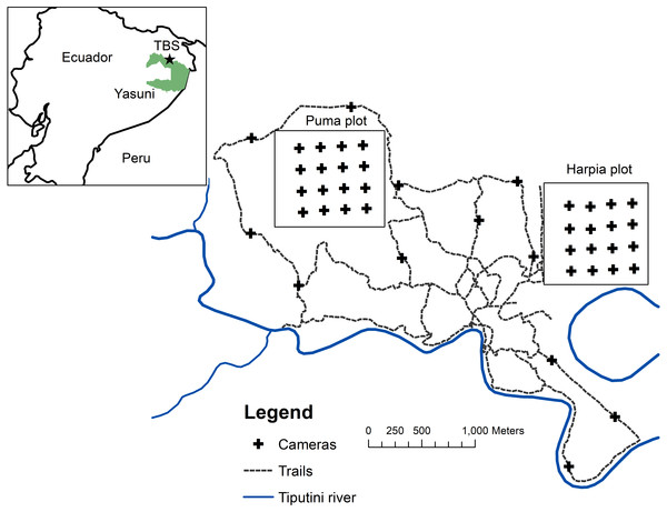 Map of camera locations at Tiputini Biodiversity Station.