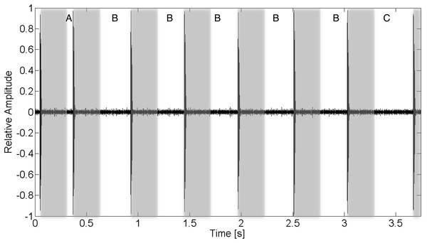 Recorded acoustic waveform of V13 tag transmission indicating the function of various inter-ping interval regions.