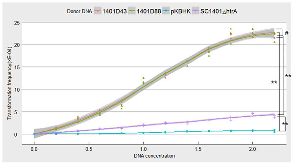 Natural transformation frequency of different donor DNA.