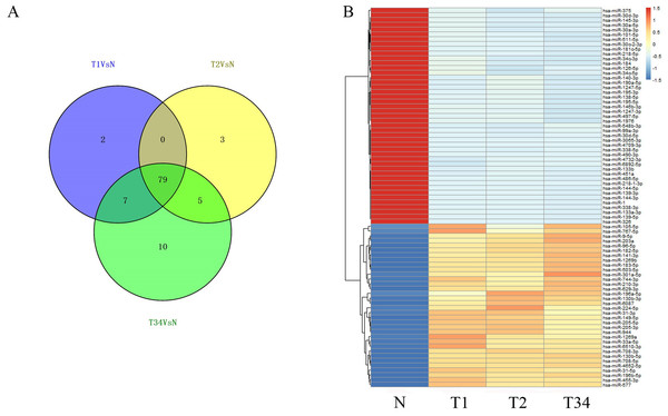 The differentially expressed miRNAs obtained from the TCGA data among LUSC groups and controls.