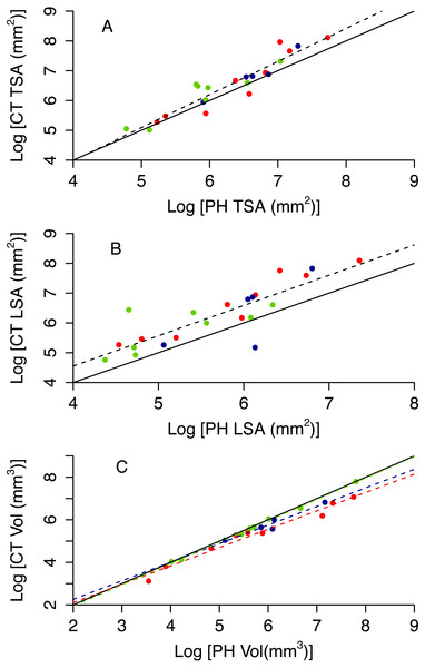 Relationship between CT and PH estimates of colony size (A total surface area, B live surface area and C volume).