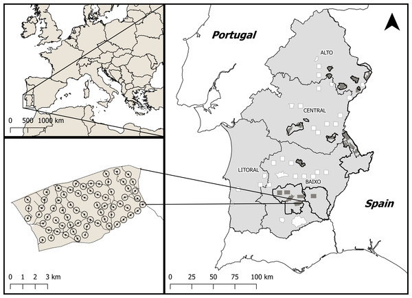 Location of the study area within Europe and Portugal.