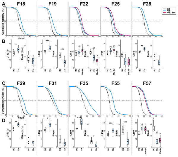 Survival in females of selected lines between F18 and F57.