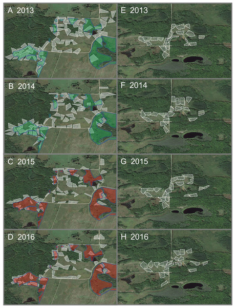 Core territories of breeding pairs of Golden-winged Warblers before and after management.