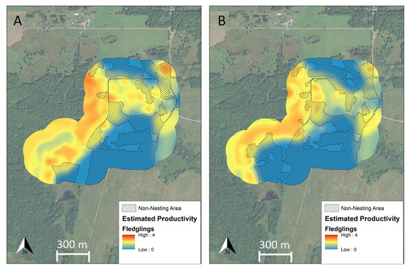 Spatially explicit model of full-season productivity for Golden-winged Warblers breeding in the study area before and after management.