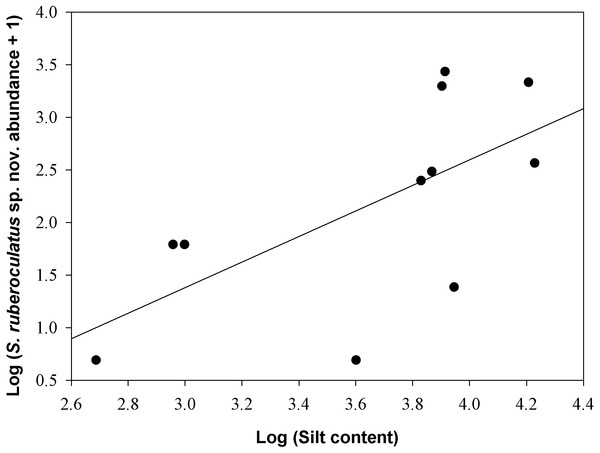 Relationship between the abundance of Scinax ruberoculatus sp. nov. and silt content in the Purus-Madeira Rivers Interfluve, Amazonas, Brazil.