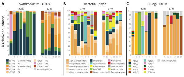 Relative distribution per sample of (A) the eight most abundant Symbiodinium OTUs, ordered by clade level classification, (B) the 10 most abundant bacterial phyla, and (C) the 10 most abundant fungal OTUs per sample.