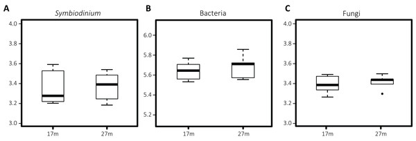 Boxplots of Shannon entropy indices for diversity in microbial groups associated with S. siderea: (A) Symbiodinium, (B) bacteria, (C) fungi.