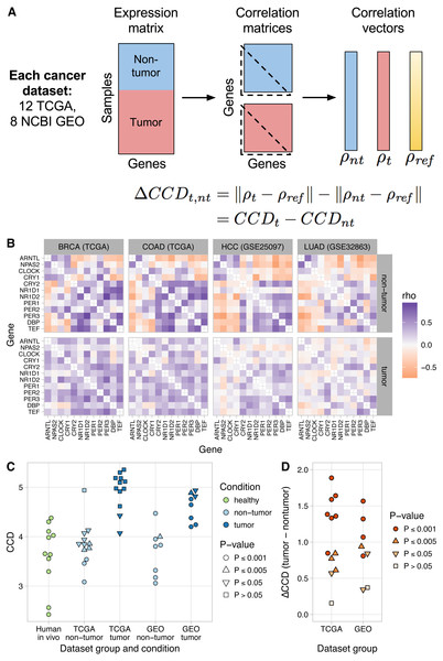 Loss of normal clock gene co-expression in human tumor samples from various cancer types.