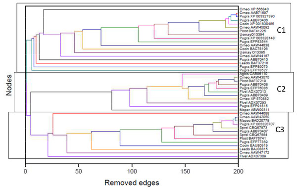 Dendrogram produced by the successive elimination of edges with the largest value of betweenness.