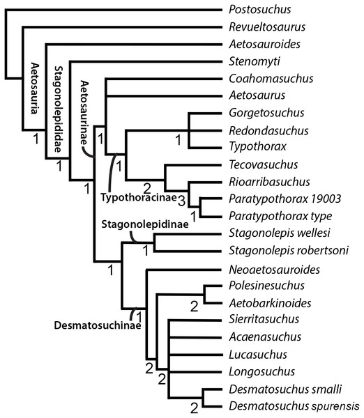 Strict consensus tree of Aetosauria prior to Iterative PCR.