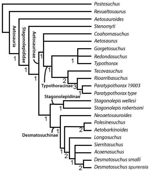 Strict consensus tree of Aetosauria after Iterative PCR.