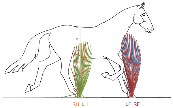 Force vector diagrams overlaid for contralateral limbs of horse 10 trotting overground.