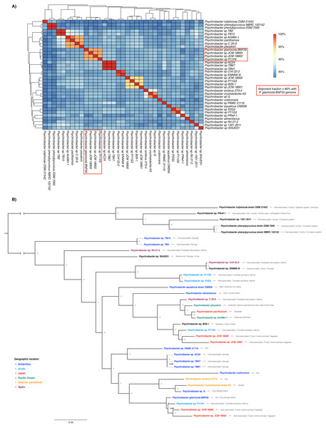 Whole genome nucleotide identity and multi-locus phylogenetic analysis.