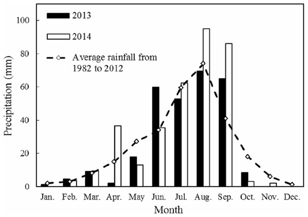 Monthly rainfall in 2013 and 2014 with the 31-year average (1982–2012) at the Yanchi Experimental Station, Ningxia Province, China.