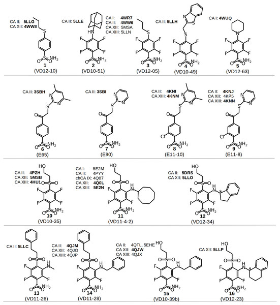 Chemical structures of CA inhibitors in the crystal structures of CA isoforms described in this study.