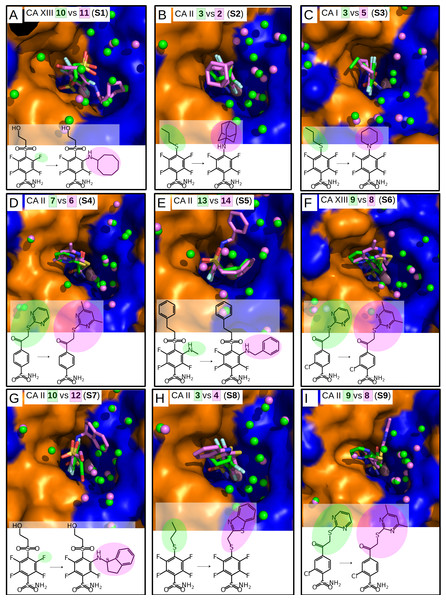 “Similar binders”: matched pairs of inhibitors bound in the crystal structures of CA isoforms.
