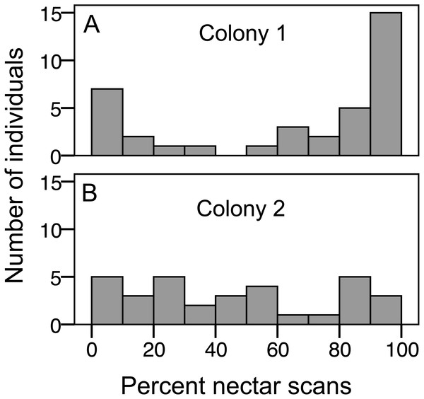 Variation in nectar preference among foragers.