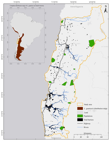 Distribution range of Lama guanicoe according to Baldi et al. (2016) and location of the study area.