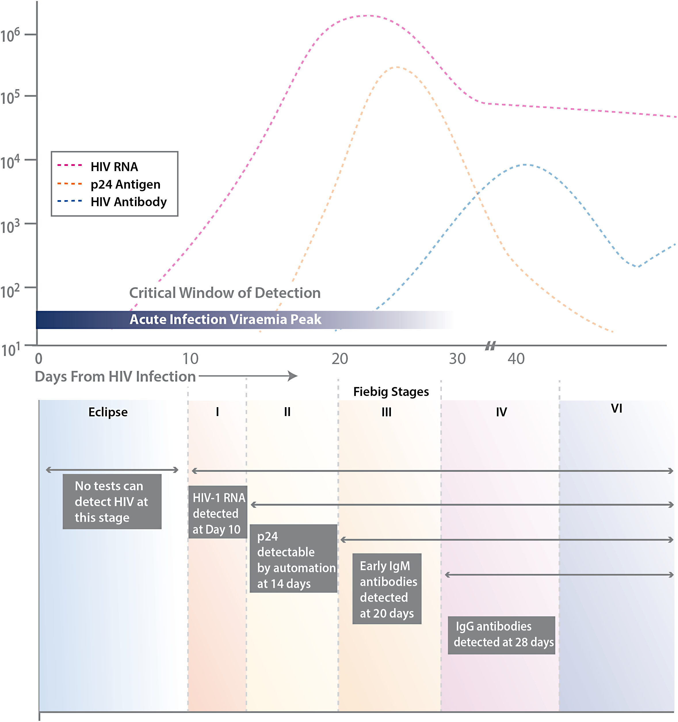 Human antiHIV IgM detection by the OraQuick ADVANCE® Rapid HIV 1/2