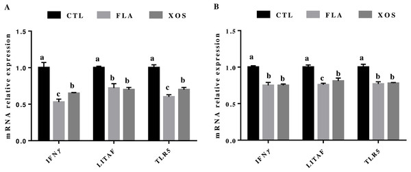 The relative mRNA expression of immune genes in the jejunal tissues of broiler chickens.