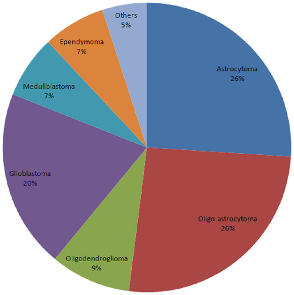 Constituent ratio of glioma subtypes.