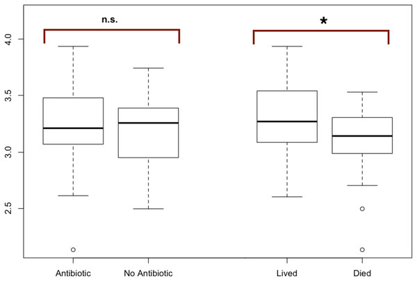 Modified boxplots of alpha diversity (Shannon index) for microbial communities found in koala fecal samples based on analysis 16S rRNA gene sequences.