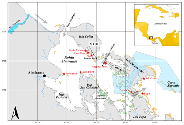 Sampling sites in Bocas del Toro.