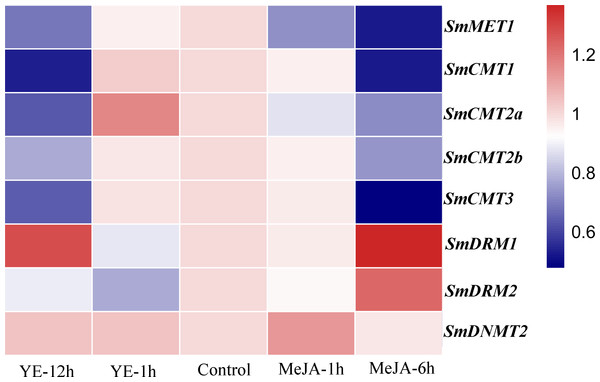 Responses of SmC5-MTase genes to YE and MeJA treatments in S. miltiorrhiza hair roots.