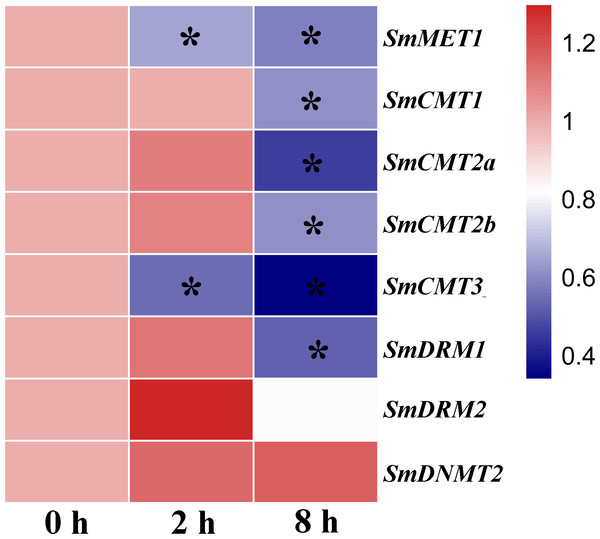 Responses of SmC5-MTase genes to SA treatment in S. miltiorrhiza cell cultures.