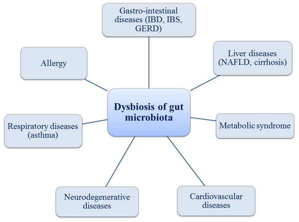 Gut microbiota and associated health problems.