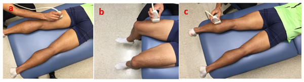 Ultrasound imaging with the transducer at different postures.