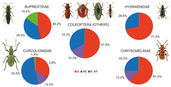 Shares of beetles infected by Wolbachia supergroups (A, B, F).