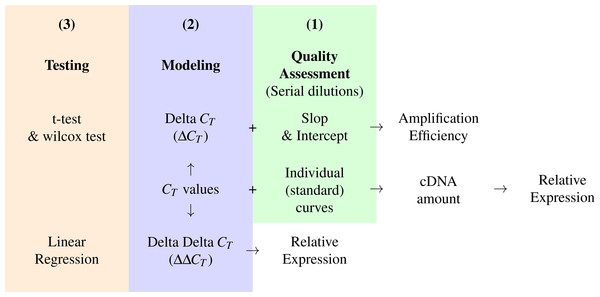 A conceptual workflow of the analysis of RT-qPCR data.