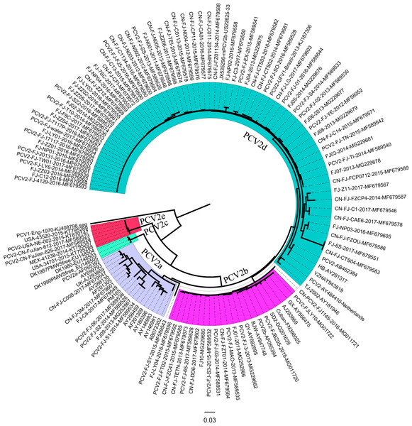 Neighbor-joining (NJ) phylogenetic analysis of Fujian PCV2 ORF2 genes.